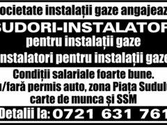 Instalatori  gaze